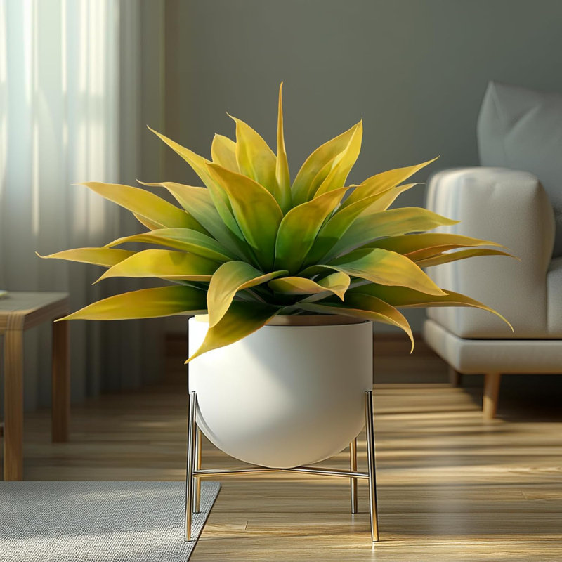 5.91cm Plant