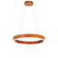 Anillo LED Pendant