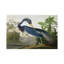 Louisiana Heron by John Audubon - Gallery-Wrapped Canvas Giclee on Canvas-41185875-56678682