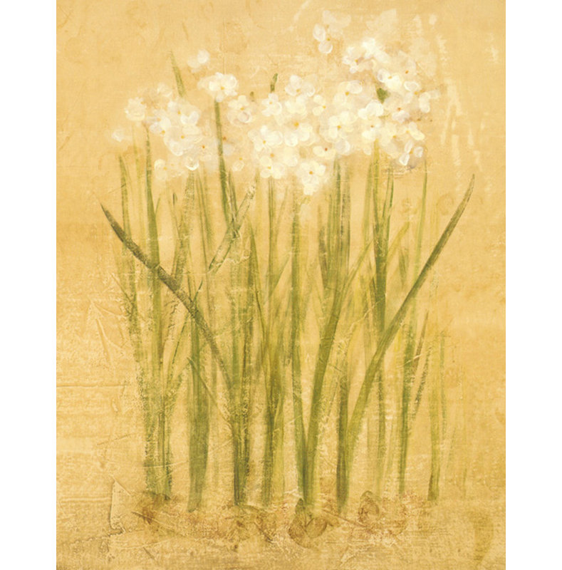 Narcisse petit, H 24 po x l 19 po