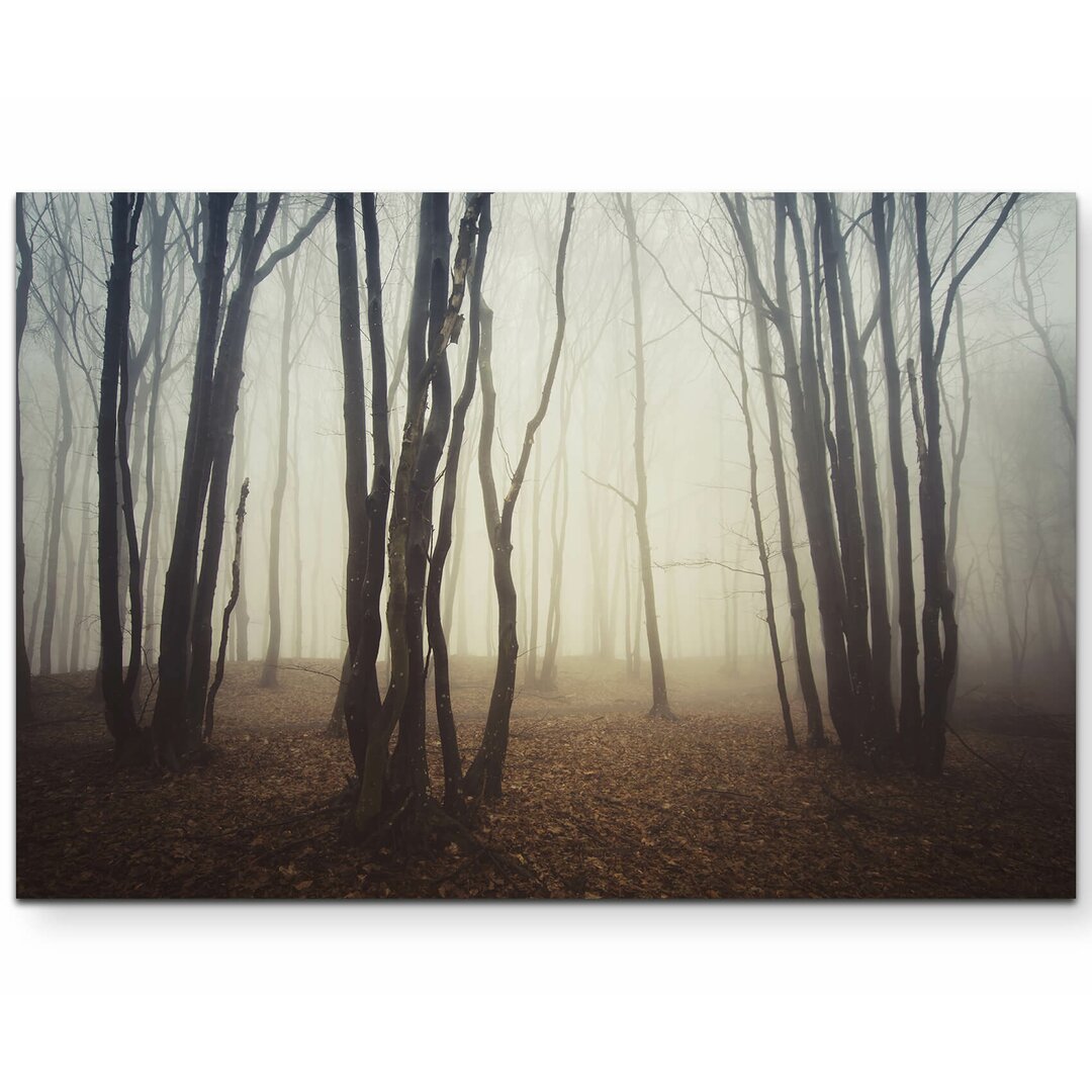 Leinwandbild Wald im Nebel