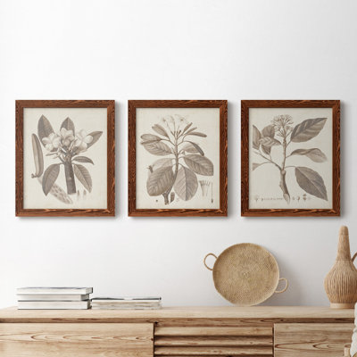 Ensemble de 3 cadres photo sur toile Midnight Tulip V