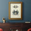 Crabe bleu antique I, toile encadrée de qualité supérieure - prête à être accrochée-695261500