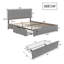 Barsky Velvet Upholstered Bed With 4 Drawers-1814740485