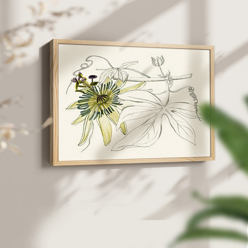 Passiflore I - reproduction encadrée - réarmable, Naturel, H 22 po x l 28 po