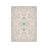 Light Floral Border Rug 5 X 7 Ft for Living Room, Multicolor Beige