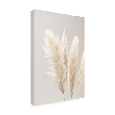 Pampas Grass Gray 02 par 1x Studio III - Photographie sur toile tendue