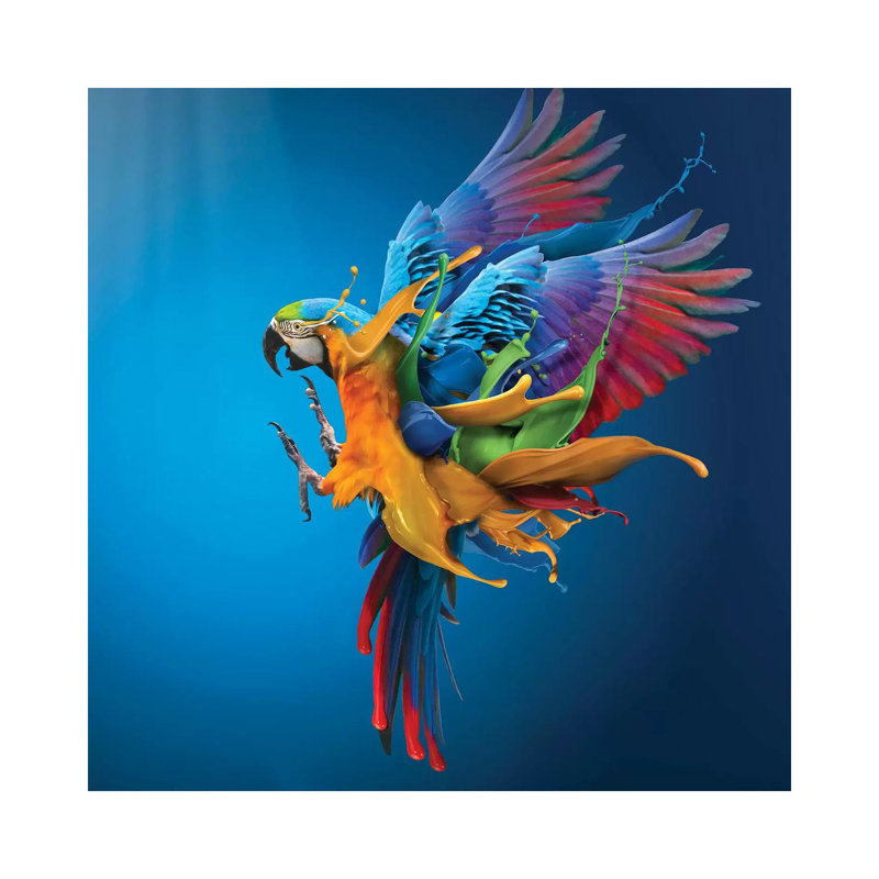 Flying Colours by Sulaiman Almawash - Gallery-Wrapped Canvas Giclée on Canvas, No Frame, 30.48 cm H x 30.48 cm W