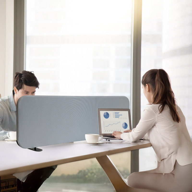Séparateurs de bureau pour travailler debout, écran diviseur de table portable pour bureau, salle de classe, bureau, anti-rayures, acier 48 po x 18 po