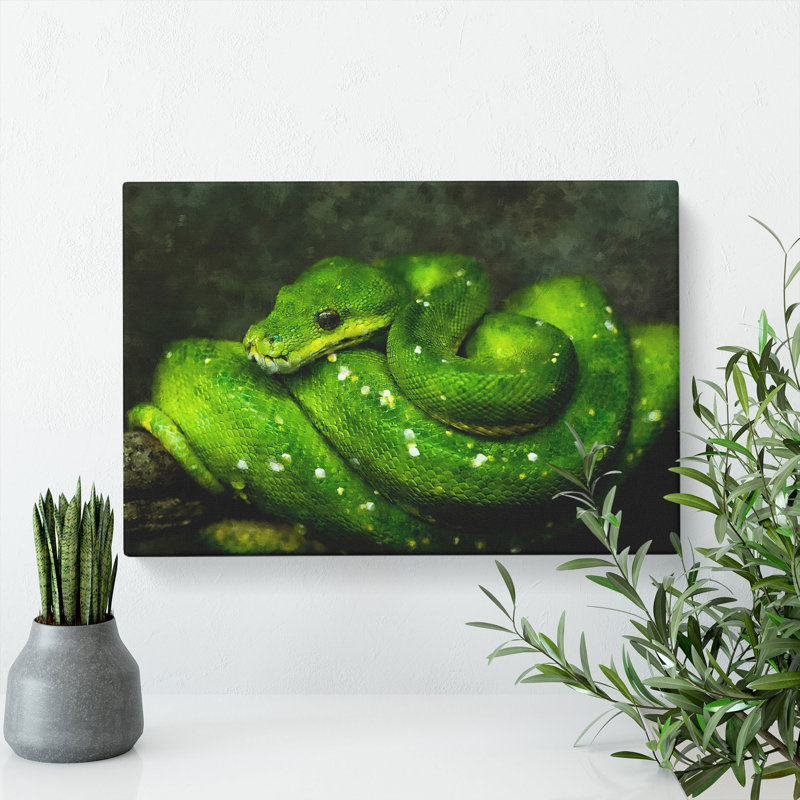 Green Python Snake - Wrapped Canvas Print, 35cm H x 50cm W x 3cm D