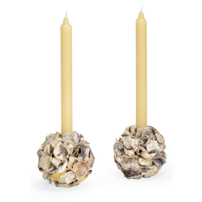 4'' H Oyster Shell Tabletop Candlestick