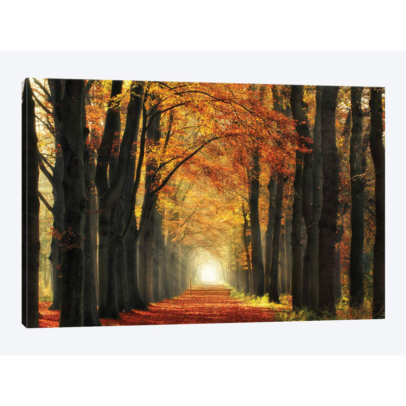 Lars Van De Goor - Wrapped Canvas Print, 101.6 cm H x 66.04 cm W x 3.175 cm D