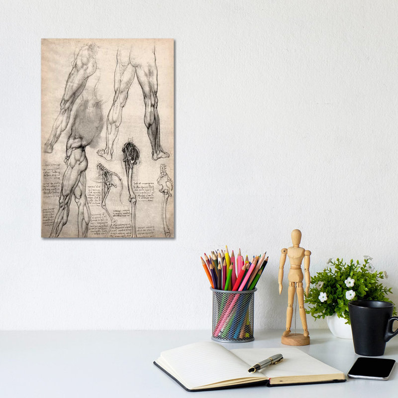 Sketchbook Studies Of Human Legs by Leonardo Da Vinci - Wrapped Canvas Print, 20.32 cm H x 30.48 cm W