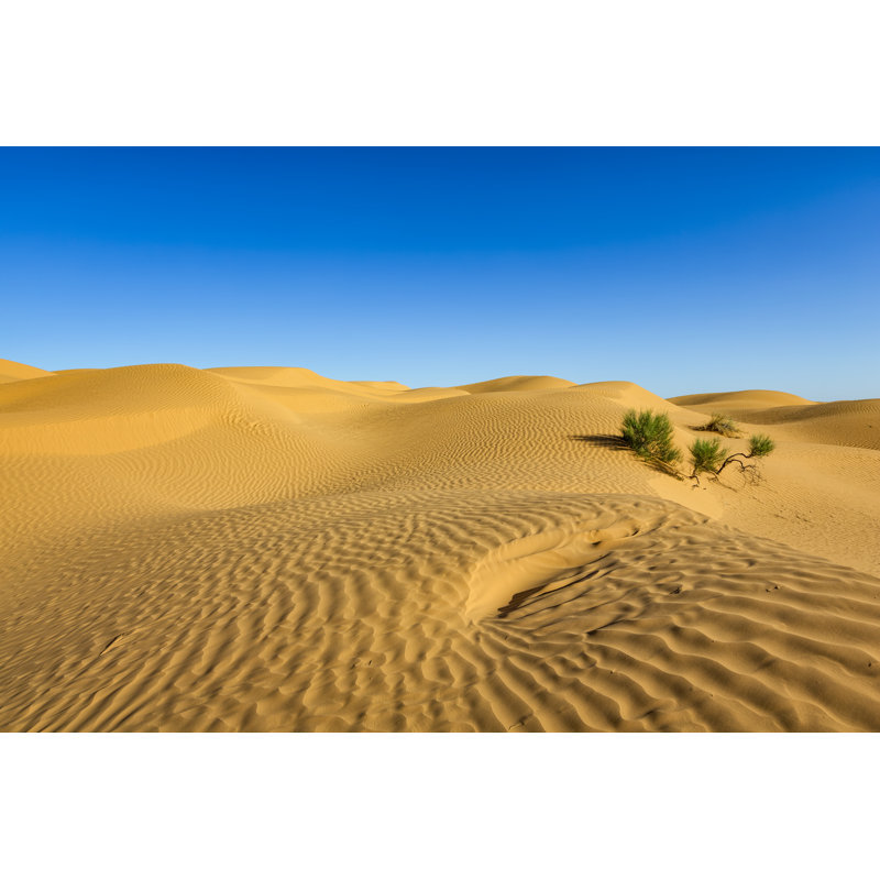 Sand Dune On Sahara Desert, Grand Erg Oriental, Tunisia by Cinoby - No Frame Print on Canvas, 51cm H x 76cm W
