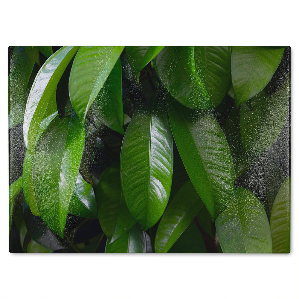 Closeup of beautiful glossy leaves Designer Glass Chopping Board