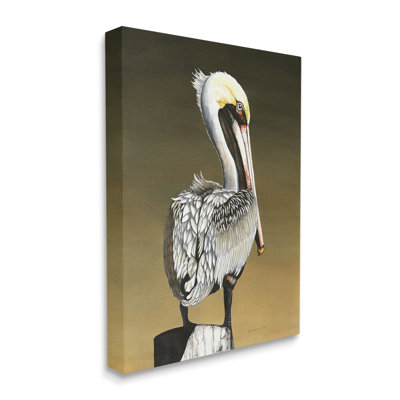 " Pelican With Intense Gaze " by Christine Reichow