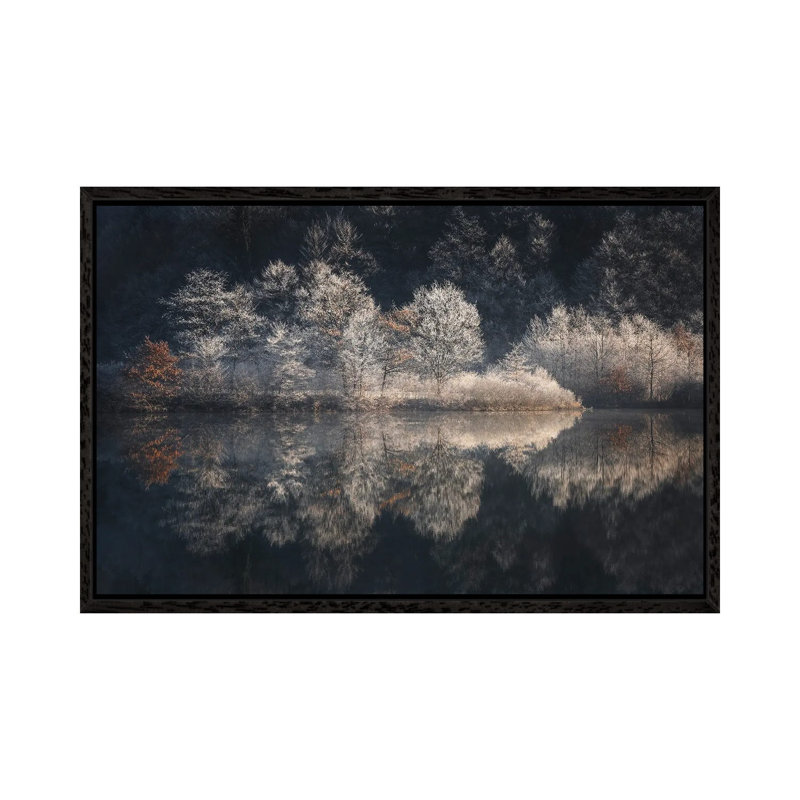 Morning Light by Kristjan Rems - Gallery-Wrapped Canvas Giclée on Canvas, Black Framed, 101.6 cm H x 66.04 cm W