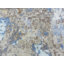 Tapis unique en laine noué à la main gris / bleu 10 pi 1 po x 13 pi 11 po Mahtab