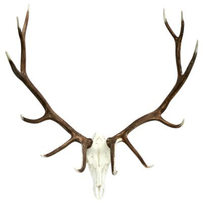 Rustic Animals Wall Decor on Resin