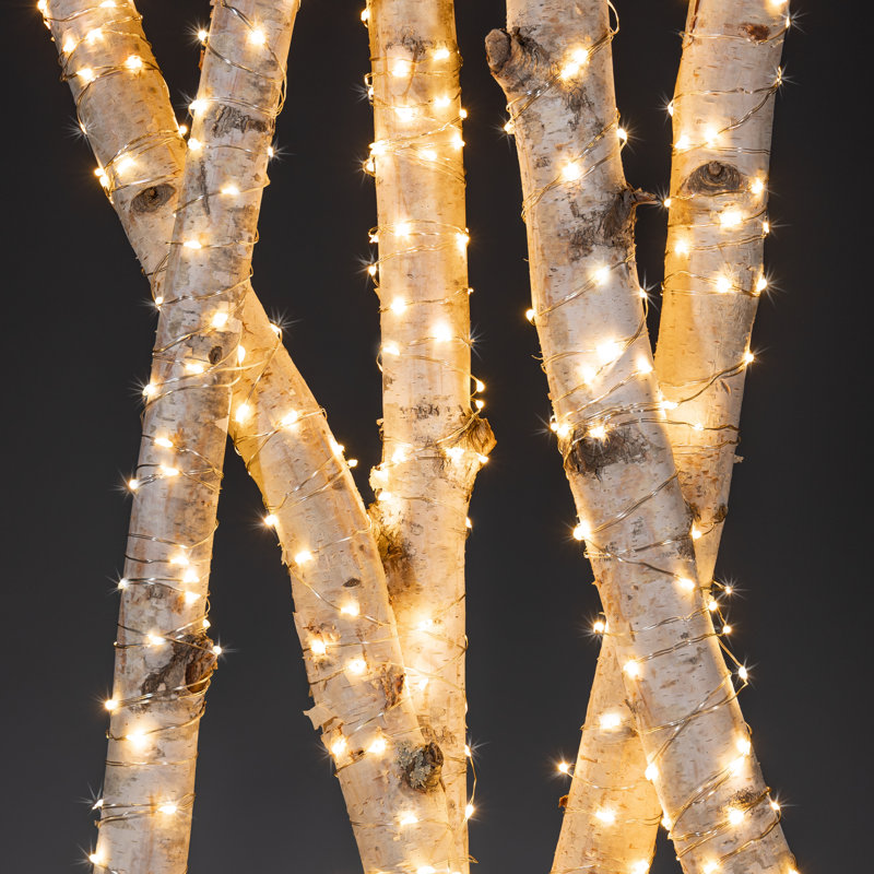 Set of 2 Indoor/Outdoor Battery-Operated Warm White Micro LED Light Strings – 20-Foot Fairy Lights with Silver Wire and 6-Hour Timer
