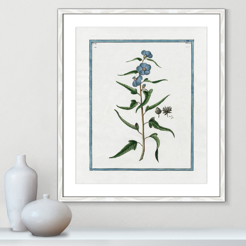 Colombe Shabby Elegance Botanical I - Framed Art Full Bleed, 21.5" W x 25.5" H, White Framed