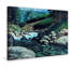 « steelhead », reproduction d’art sur toile tendue-17746622