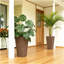 Jardinières chics, ensemble de 2 jardinières à fleurs, jardinières hautes d'extérieur-528803686