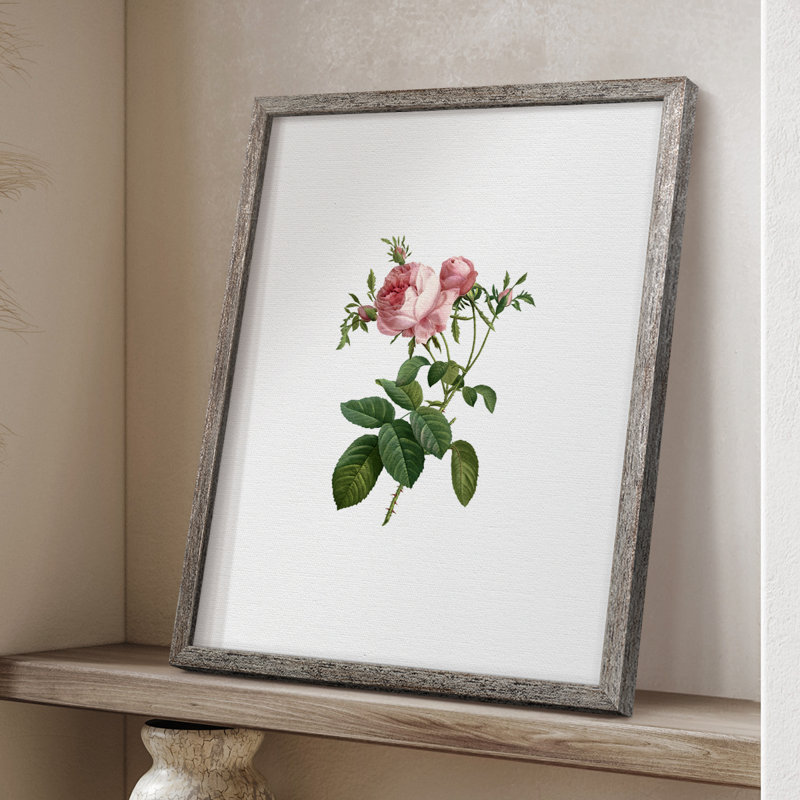 «Botanical Beauty IV», reproduction encadrée - bois massif 50512, H 30 po x l 24 po