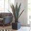 Plante succulente artificielle en pot 43 po Panama-1744951424-1744951427