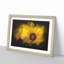Yellow Coneflowers - Framed Print-56842446-56842448