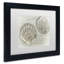 «Two King Scallop Shells», reproduction de photo sur toile encadrée-32709787-32709784