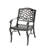 PHOENIX ARM CHAIR(Set Of 2)-910959322