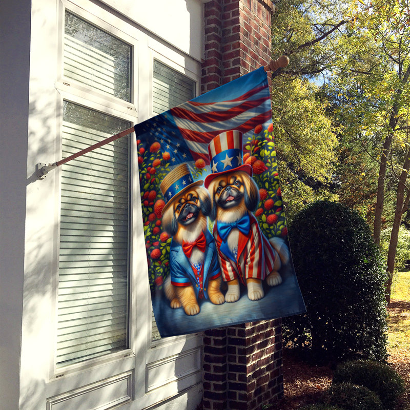 Drapeau «All American House», Pékinois