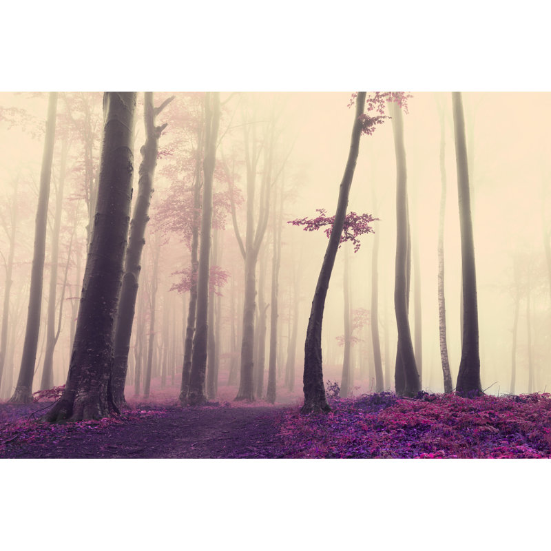 Unique Tree - Wrapped Canvas Print, 20cm H x 30cm W x 3.8cm D