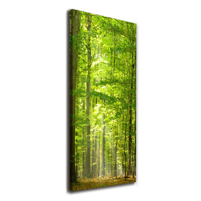 Beech Forest - Wrapped Canvas Print
