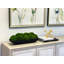 Moss Preserved in Oblong Planter-2127730664