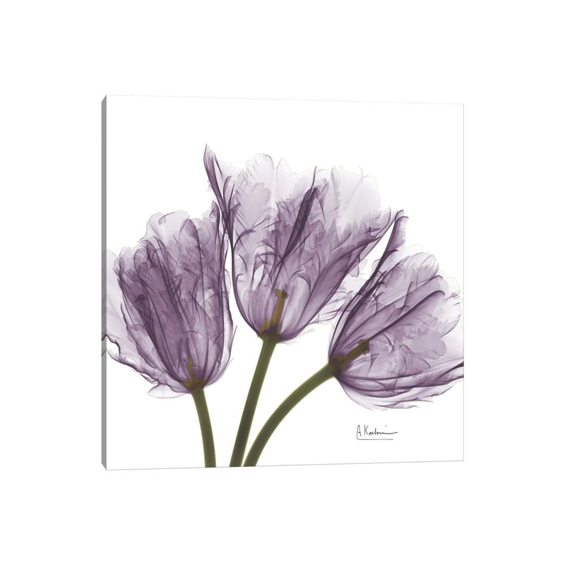 Tulips III by Albert Koetsier - Wrapped Canvas Painting, 45.72 cm H x 45.72 cm W x 1.91 cm D