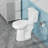 21" Tall Toilet, Extra Tall Powerful Flush Toilets with Soft Closing Seat, MAP 1000g
