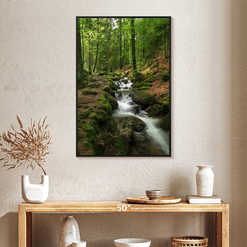 Ruisseau Buhl Forest, 25 po x 37 po, Cadre flottant noir