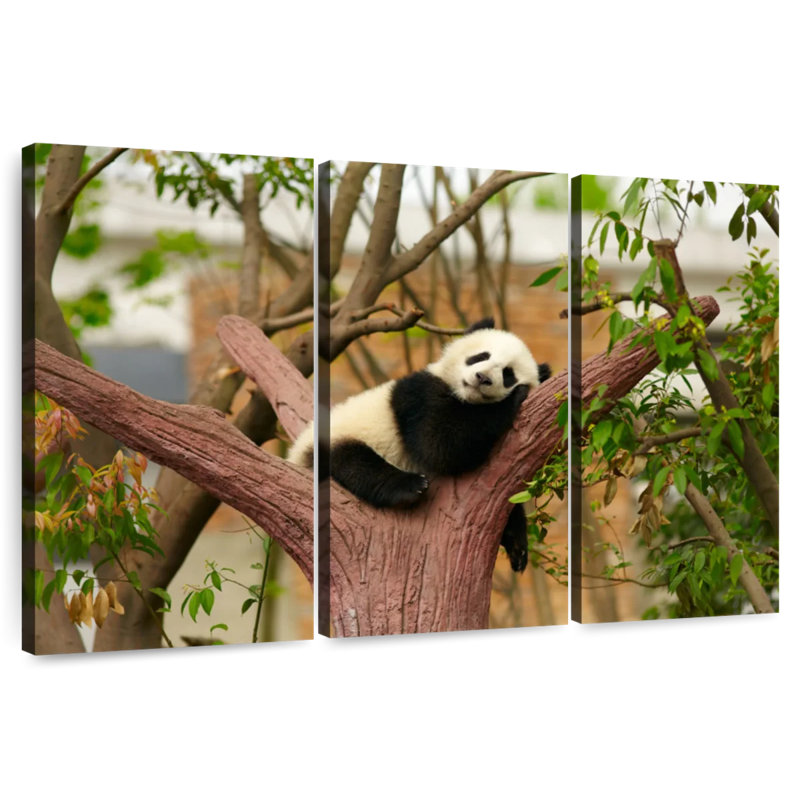 Brampt  Sleeping Baby Panda, 20" H x 33" W