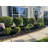 Metal Lawn Edging-48898361-48898362