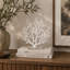 Sculpture décorative poreuse en corail blanc texturé avec base acrylique-1707373718