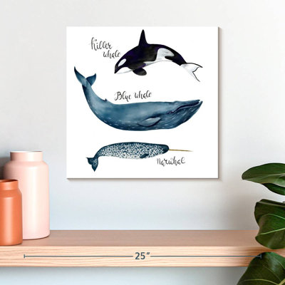 Crowle Three Types Of Whales