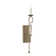 Oyster Shell 1 - Light Sconce