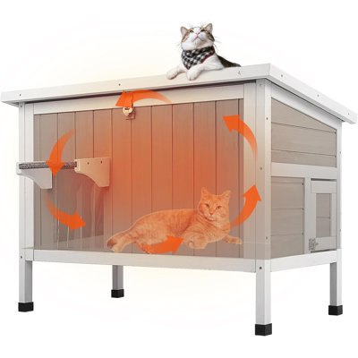 Maison de chat insultée