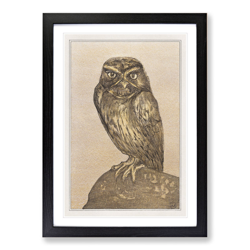 Little Owl by Theo Van Hoytema - Picture Frame Painting, Black Framed, 36cm H x 27cm W x 2cm D