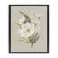 Cadre flottant en papier avec fleurs luxuriantes, conçu par House Fenway-505575442-505575443