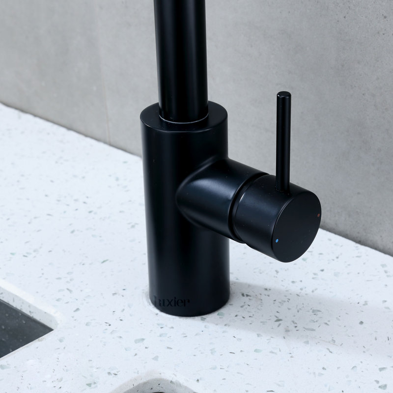 Robinet de cuisine contemporain à poignée simple avec accessoires, Noir mat