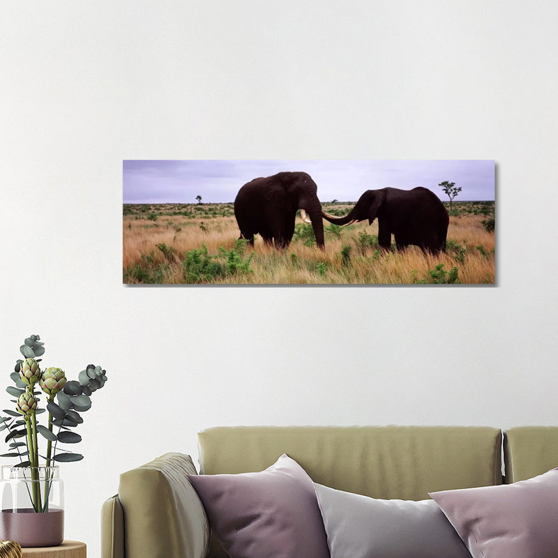 Two African Elephants (Loxodonta Africana) Socialize On The Savannah Plains - Wrapped Canvas Panoramic Print