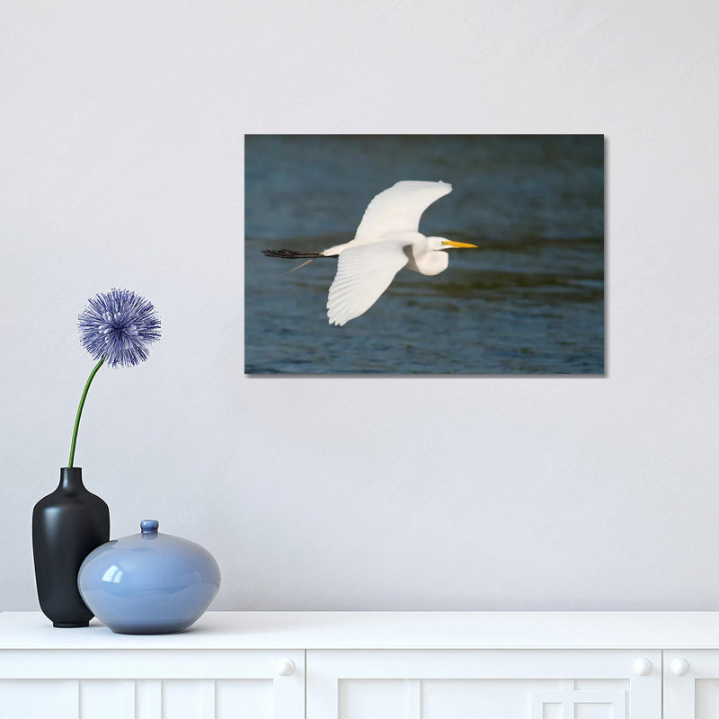 Great Egret Flying, Fort Myers Beach, Florida 1 Piece Wrapped Canvas Wall Art, 30.48 cm H x 45.72 cm W